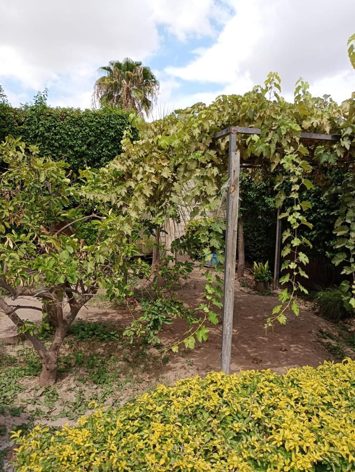 Hgen Rooms & Suites Los Mochis Zewnętrze zdjęcie